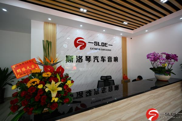 图10